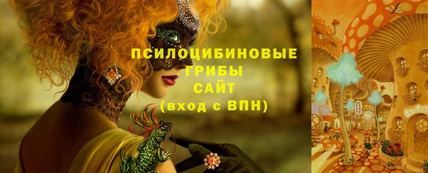 прущий лед Киренск