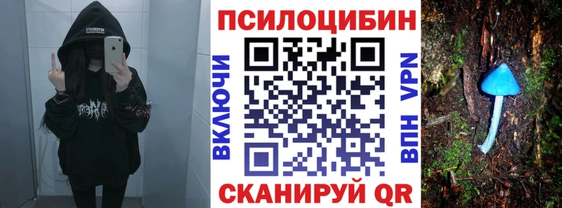 Псилоцибиновые грибы Psilocybine cubensis  Купить  Белоозёрский 